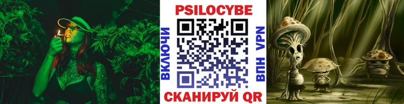 Галлюциногенные грибы Magic Shrooms  площадка наркотические препараты  Нововоронеж  наркошоп 